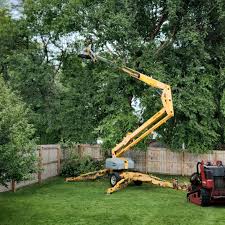 Tieton, WA Tree Care Company